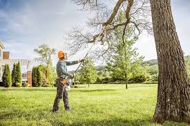 Best Lawn Renovation and Restoration  in Sioux Falls, SD